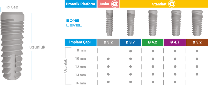 BioInfinity Bone Level