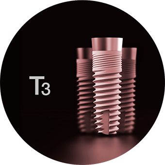 T3